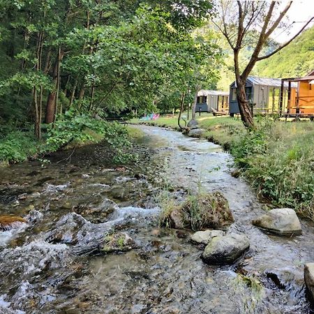 Transfagarasan River Retreat 아레푸 외부 사진